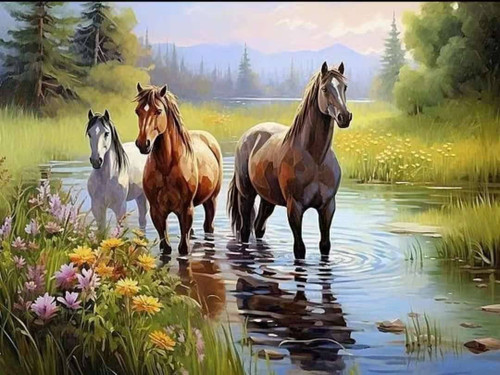 نقاشی الماسی بزرگسال ۴۰×۵۰ طرح ۱۳