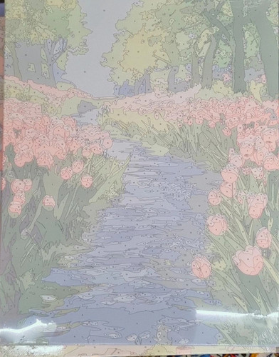 نقاشی شماره گذاری بزرگسال۴۰در۵۰طرح۴۸