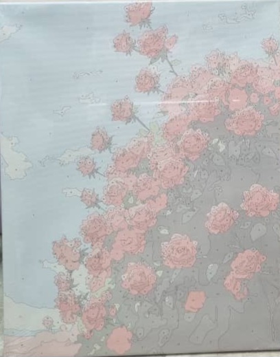 نقاشی شماره گذاری بزرگسال ۴۰×۵۰ طرح۵۲