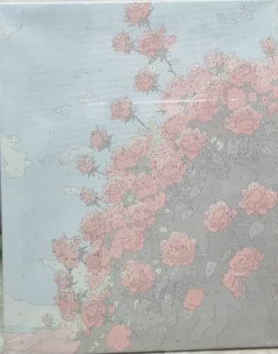 نقاشی شماره گذاری بزرگسال ۴۰×۵۰ طرح۵۲