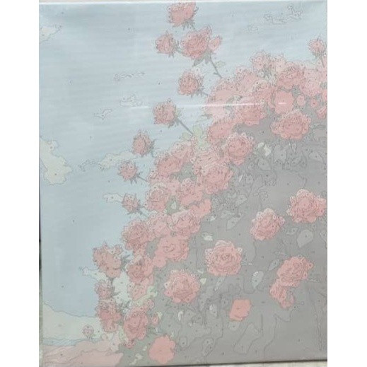 نقاشی شماره گذاری بزرگسال 40 50 طرح52