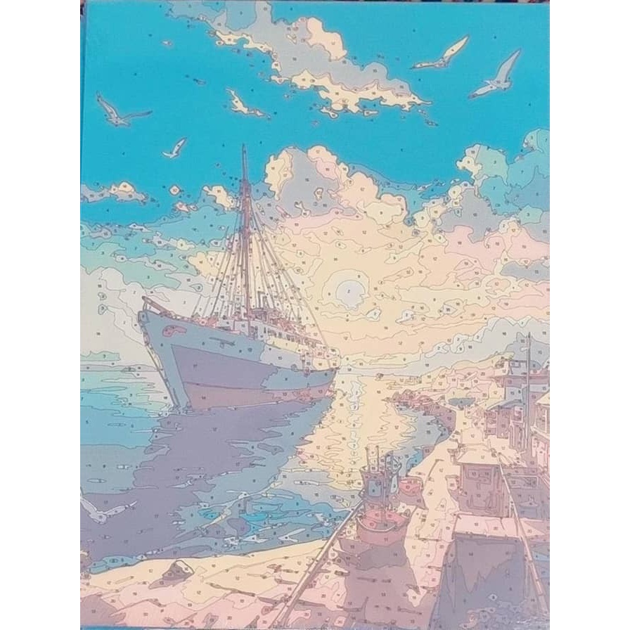نقاشی شماره گذاری بزرگسال30در40 طرح50