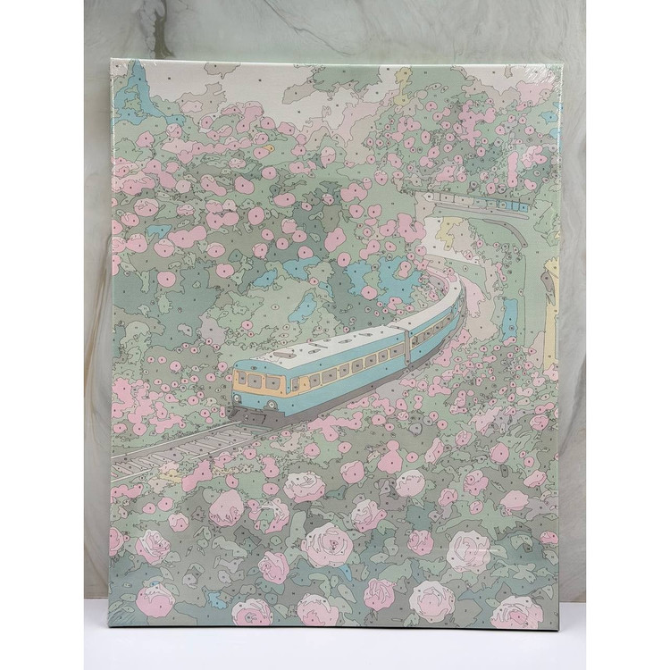 نقاشی شماره گذاری شده بزرگسال 40 50 طرح قطار